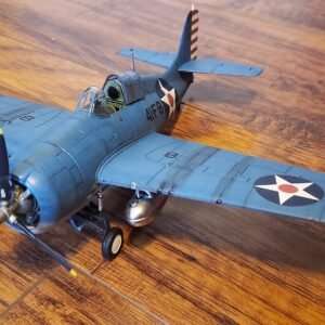 Custom Model Plane