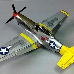 Custom Model Plane