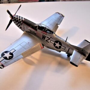 Custom Model Plane